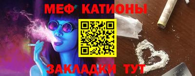 шишки Дубна