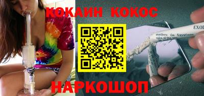 шишки Дубна