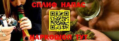 МДПВ Донской