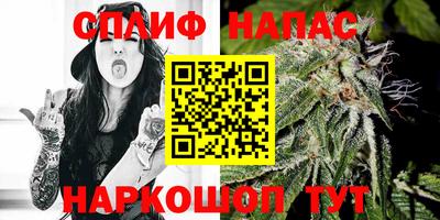 шишки Дубна
