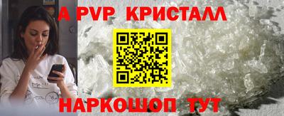 шишки Дубна