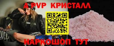 шишки Дубна
